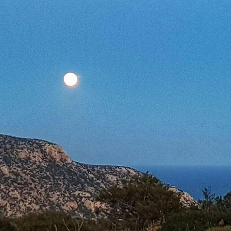 Artemis House Apartment Karpathos Bagian luar foto